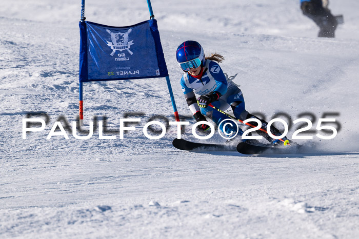 7. Münchner Skimeisterschaft, 08.02.2025