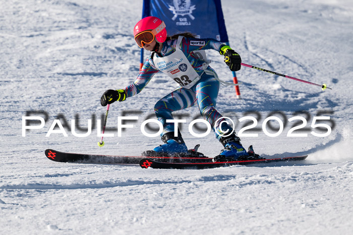 7. Münchner Skimeisterschaft, 08.02.2025