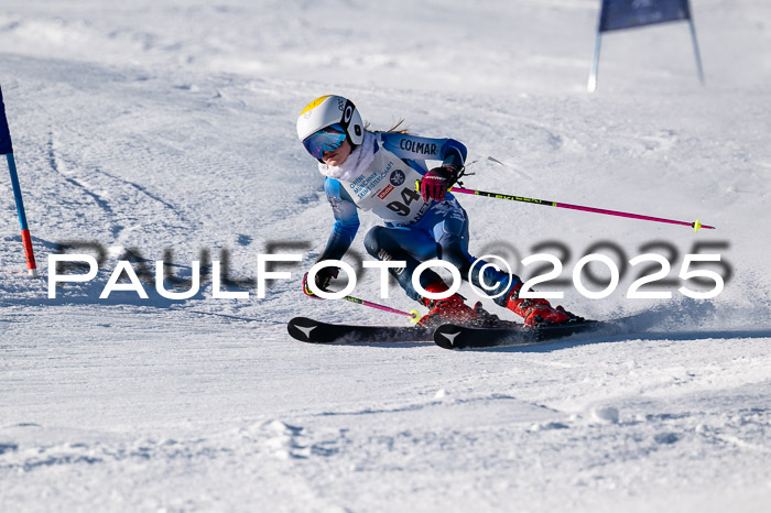 7. Münchner Skimeisterschaft, 08.02.2025