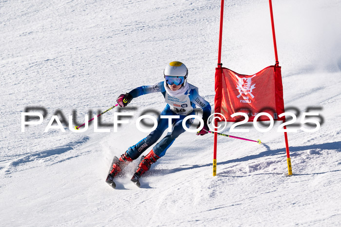 7. Münchner Skimeisterschaft, 08.02.2025