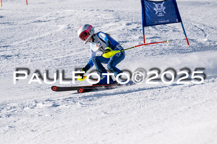 7. Münchner Skimeisterschaft, 08.02.2025