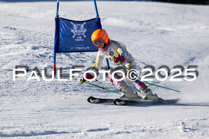 7. Münchner Skimeisterschaft, 08.02.2025
