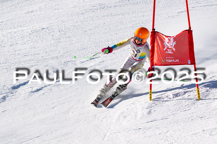7. Münchner Skimeisterschaft, 08.02.2025