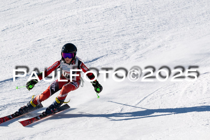 7. Münchner Skimeisterschaft, 08.02.2025