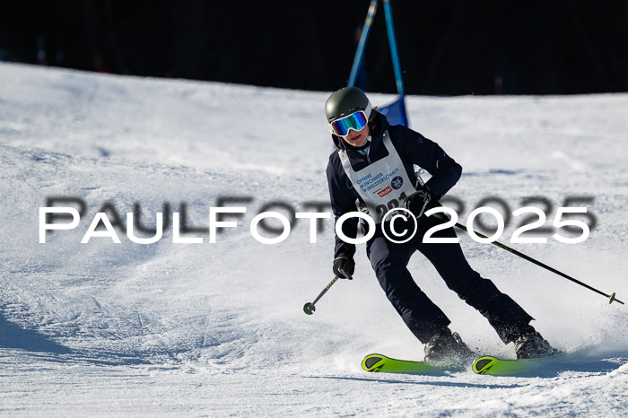 7. Münchner Skimeisterschaft, 08.02.2025