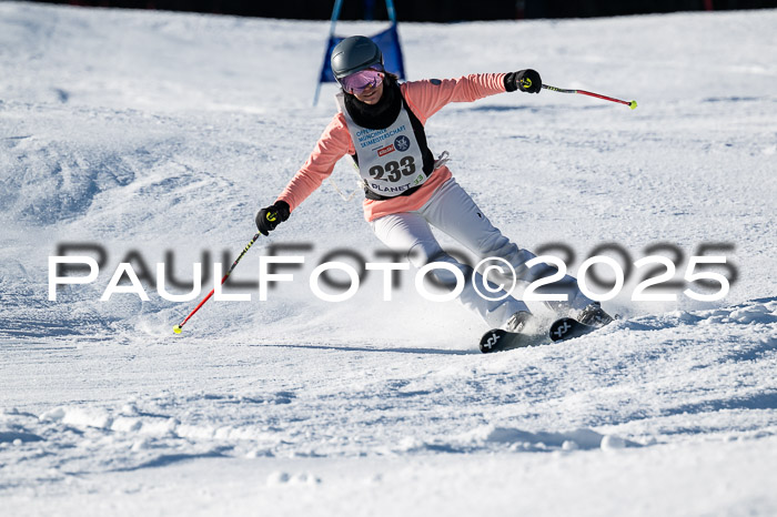 7. Münchner Skimeisterschaft, 08.02.2025