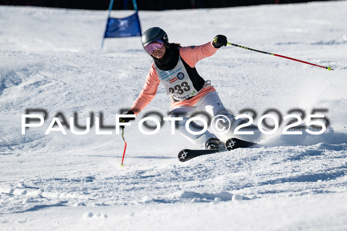 7. Münchner Skimeisterschaft, 08.02.2025