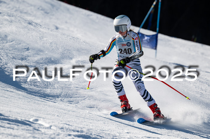 7. Münchner Skimeisterschaft, 08.02.2025