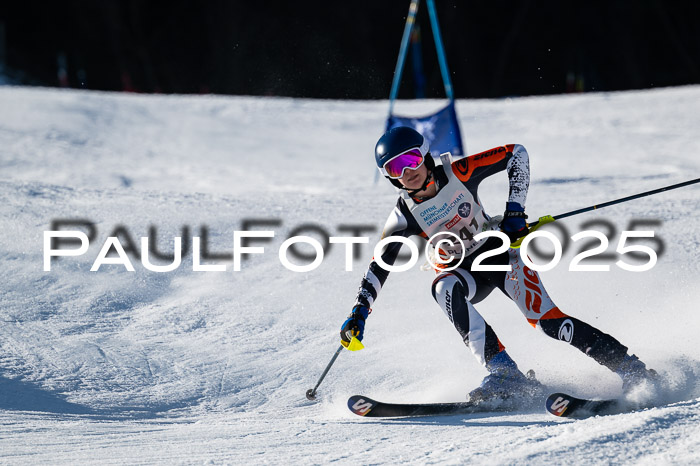 7. Münchner Skimeisterschaft, 08.02.2025