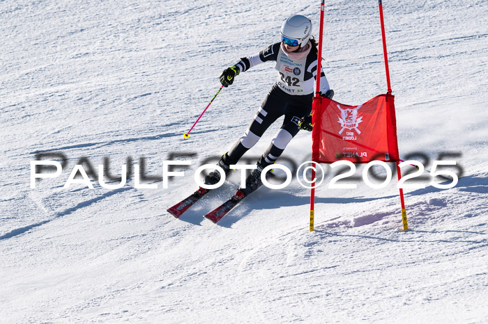 7. Münchner Skimeisterschaft, 08.02.2025