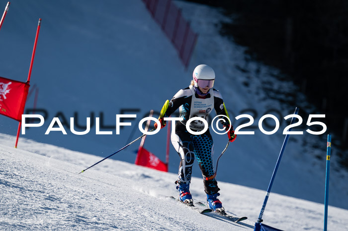 7. Münchner Skimeisterschaft, 08.02.2025