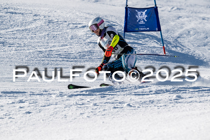 7. Münchner Skimeisterschaft, 08.02.2025