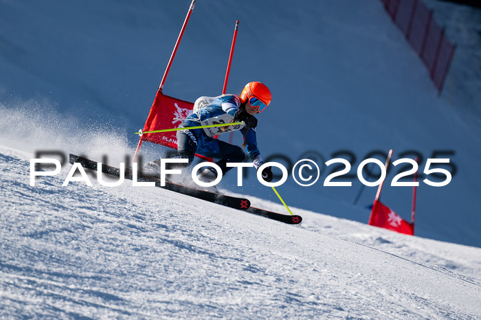 7. Münchner Skimeisterschaft, 08.02.2025