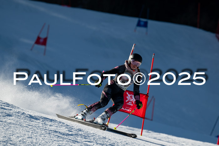 7. Münchner Skimeisterschaft, 08.02.2025