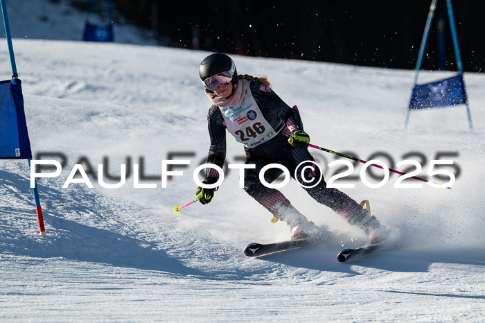 7. Münchner Skimeisterschaft, 08.02.2025