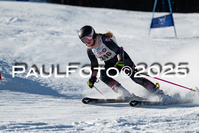 7. Münchner Skimeisterschaft, 08.02.2025