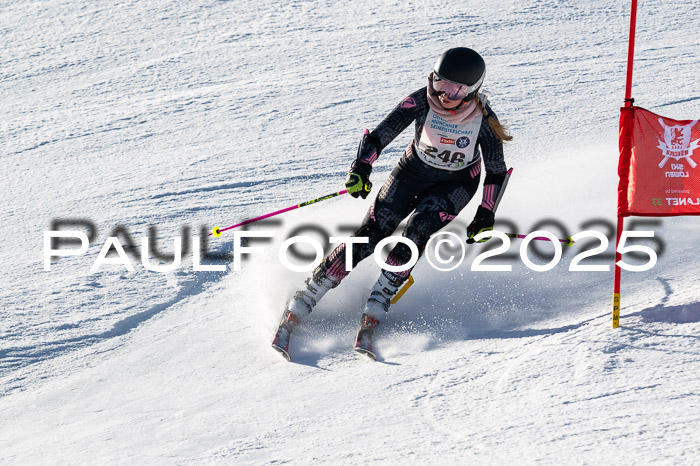 7. Münchner Skimeisterschaft, 08.02.2025