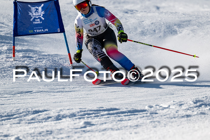 7. Münchner Skimeisterschaft, 08.02.2025