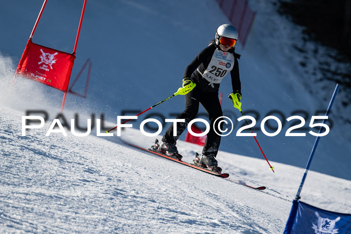 7. Münchner Skimeisterschaft, 08.02.2025