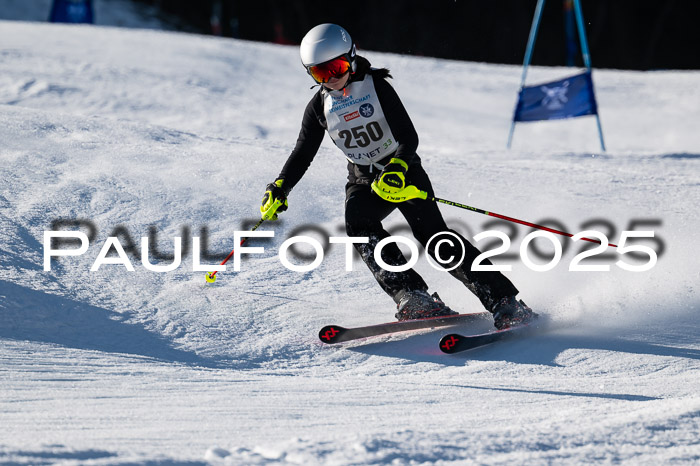 7. Münchner Skimeisterschaft, 08.02.2025