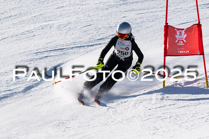 7. Münchner Skimeisterschaft, 08.02.2025