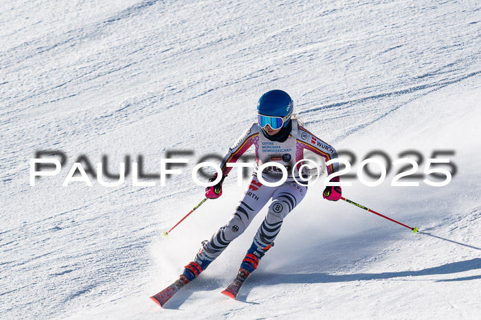7. Münchner Skimeisterschaft, 08.02.2025