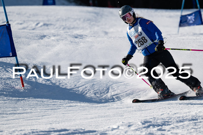 7. Münchner Skimeisterschaft, 08.02.2025