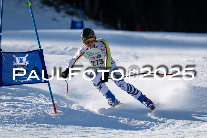 7. Münchner Skimeisterschaft, 08.02.2025
