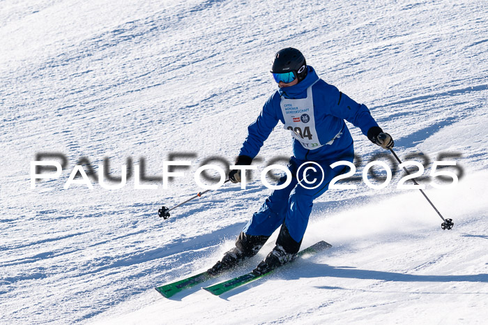 7. Münchner Skimeisterschaft, 08.02.2025