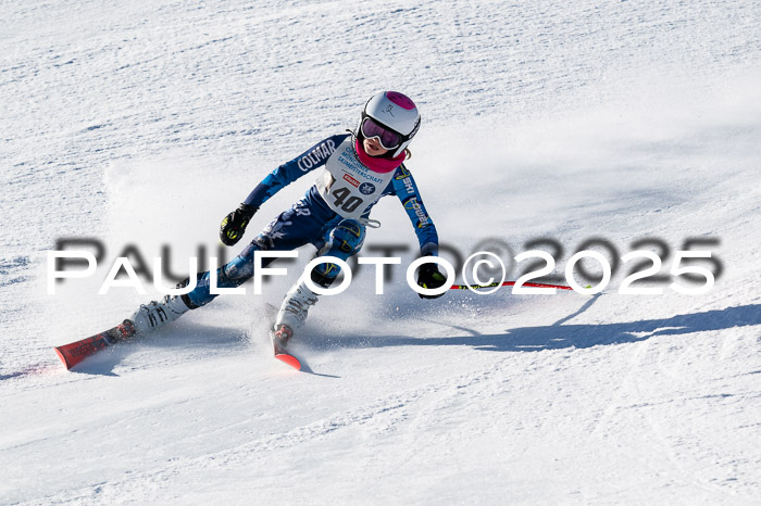 7. Münchner Skimeisterschaft, 08.02.2025