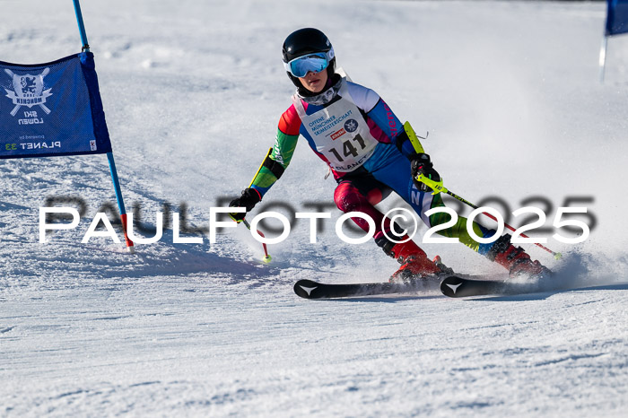 7. Münchner Skimeisterschaft, 08.02.2025