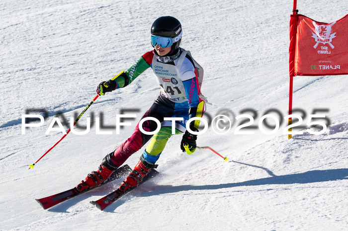 7. Münchner Skimeisterschaft, 08.02.2025