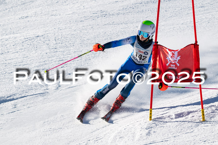 7. Münchner Skimeisterschaft, 08.02.2025