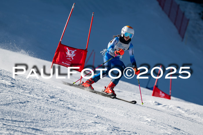 7. Münchner Skimeisterschaft, 08.02.2025