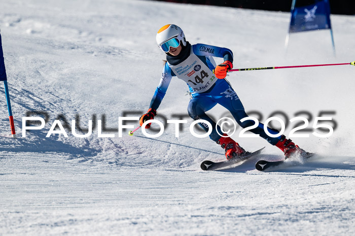 7. Münchner Skimeisterschaft, 08.02.2025