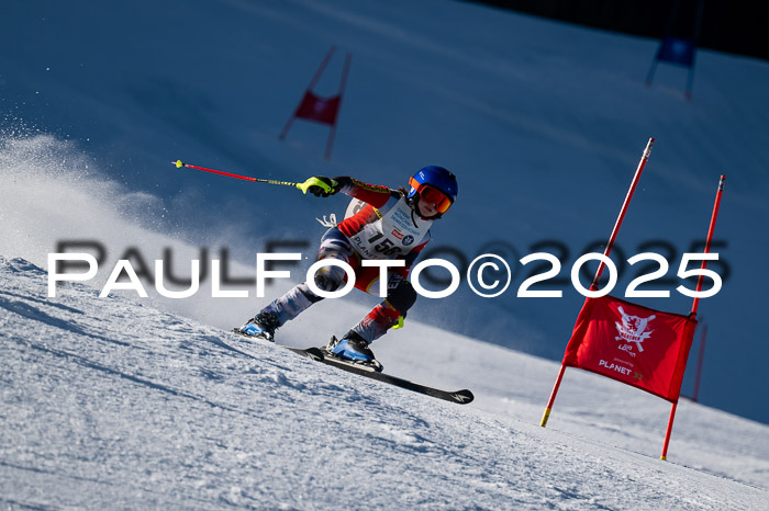 7. Münchner Skimeisterschaft, 08.02.2025
