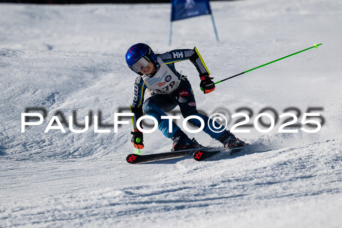 7. Münchner Skimeisterschaft, 08.02.2025