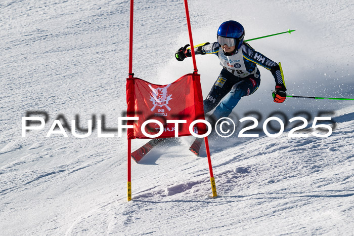 7. Münchner Skimeisterschaft, 08.02.2025