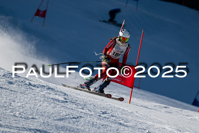 7. Münchner Skimeisterschaft, 08.02.2025
