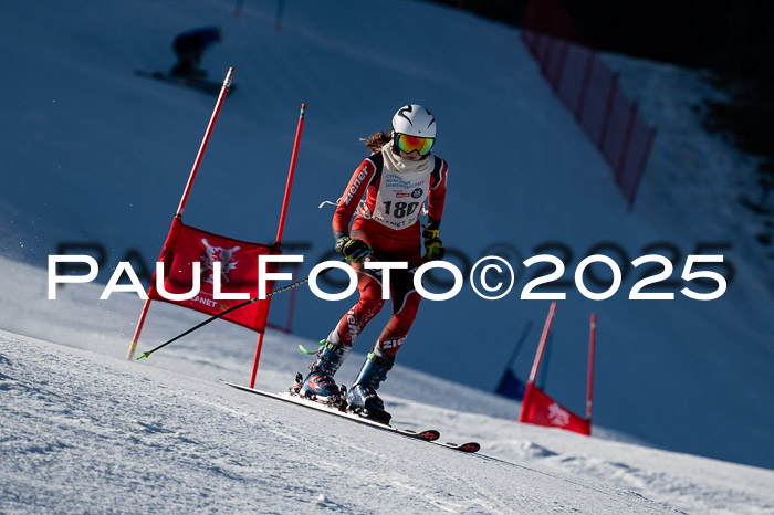 7. Münchner Skimeisterschaft, 08.02.2025
