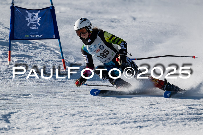 7. Münchner Skimeisterschaft, 08.02.2025
