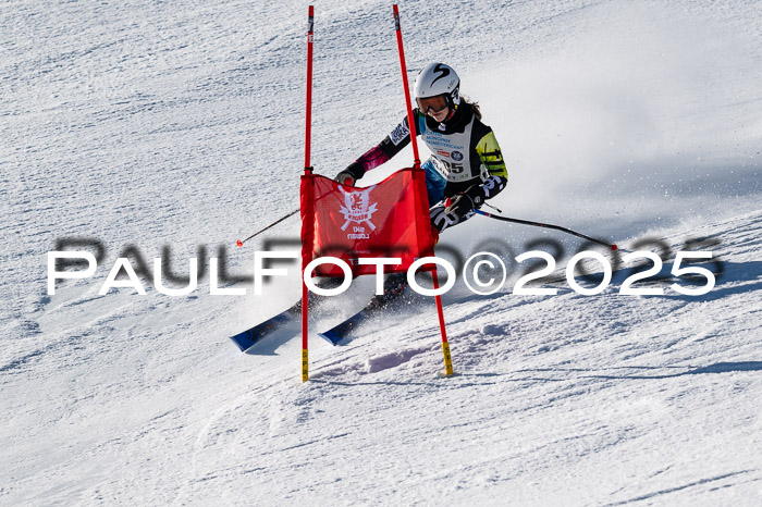7. Münchner Skimeisterschaft, 08.02.2025