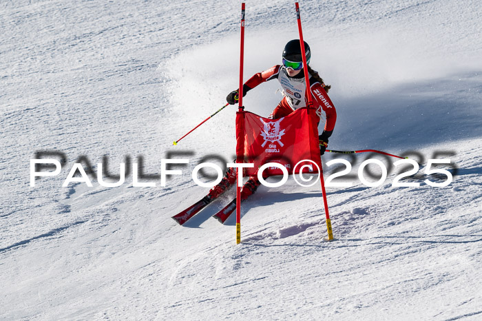 7. Münchner Skimeisterschaft, 08.02.2025