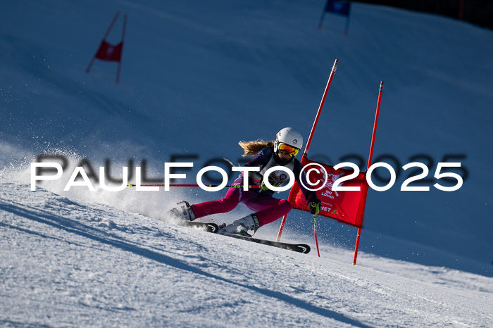 7. Münchner Skimeisterschaft, 08.02.2025