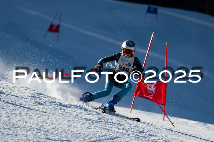 7. Münchner Skimeisterschaft, 08.02.2025