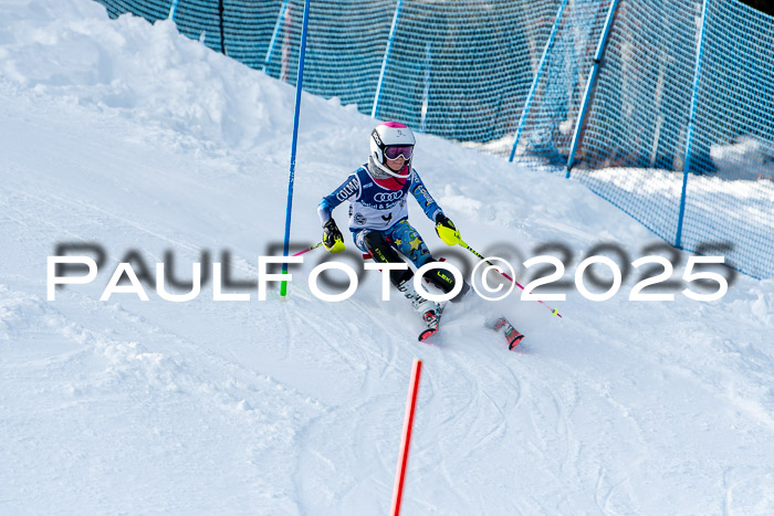 6. SVM Cup U14/16 MSM SL