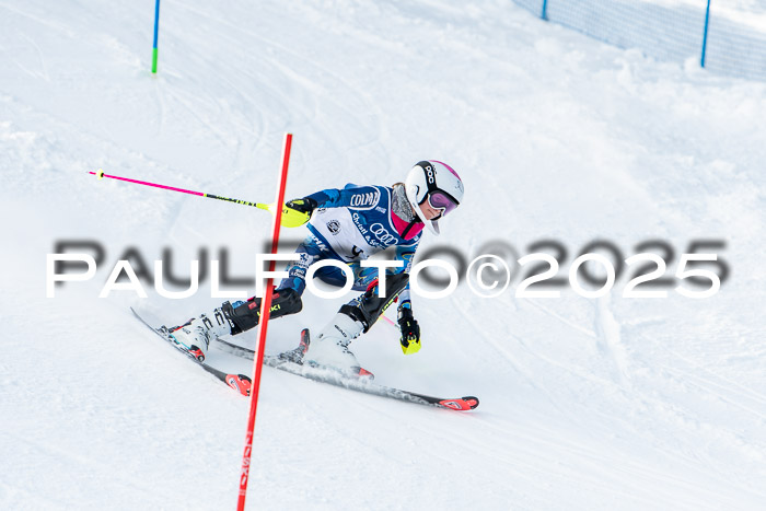 6. SVM Cup U14/16 MSM SL