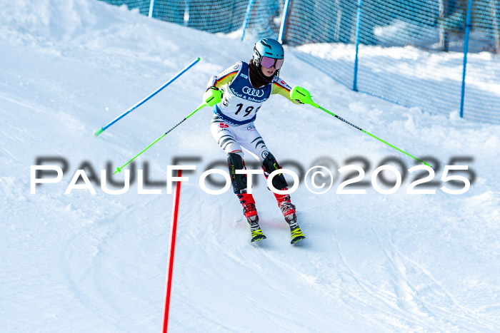 6. SVM Cup U14/16 MSM SL