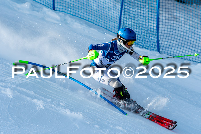 6. SVM Cup U14/16 MSM SL