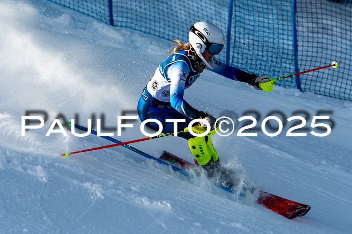 6. SVM Cup U14/16 MSM SL